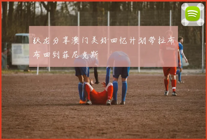 狄龙分享澳门美好回忆计划带拉布布回到菲尼克斯