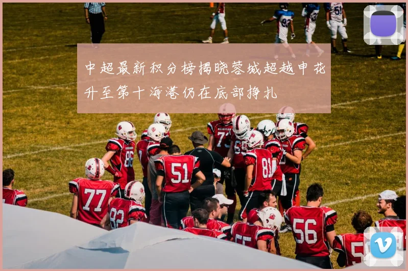 中超最新积分榜揭晓蓉城超越申花升至第十海港仍在底部挣扎