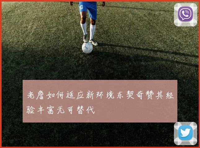 老詹如何适应新环境东契奇赞其经验丰富无可替代