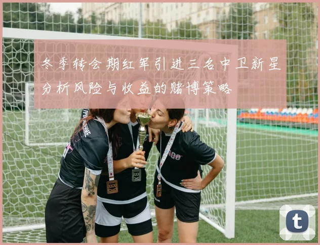 冬季转会期红军引进三名中卫新星分析风险与收益的赌博策略